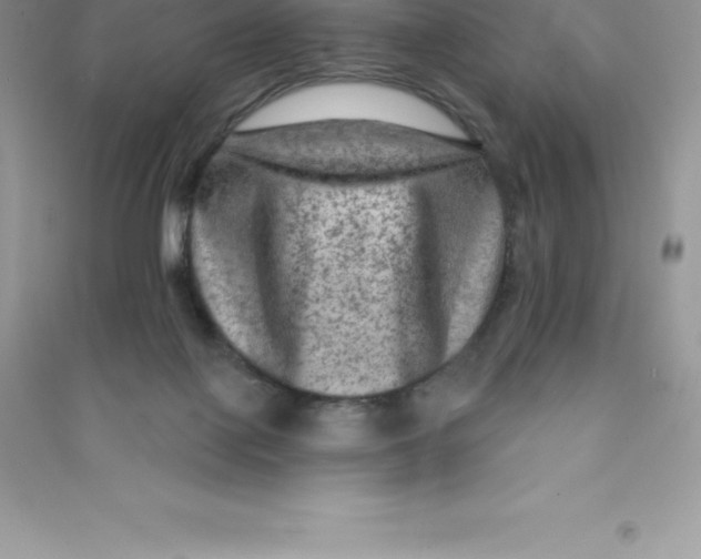 X0000090730075200708171955