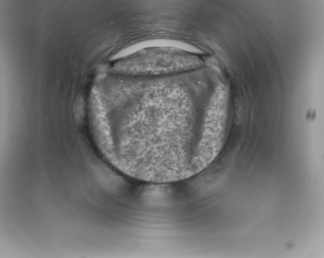 X0000090730077200708171955