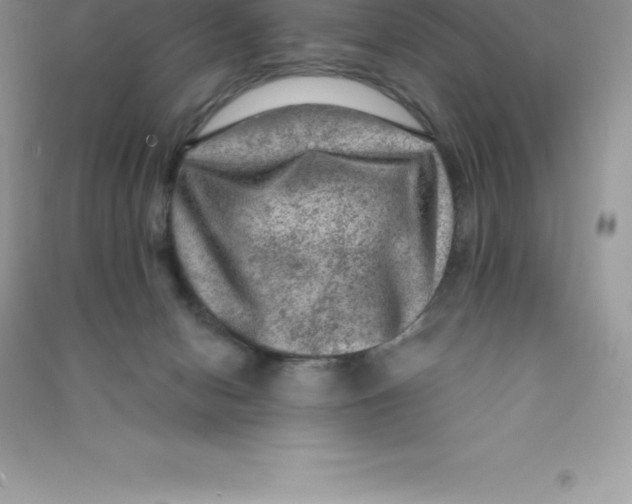 X0000090730078200708171955