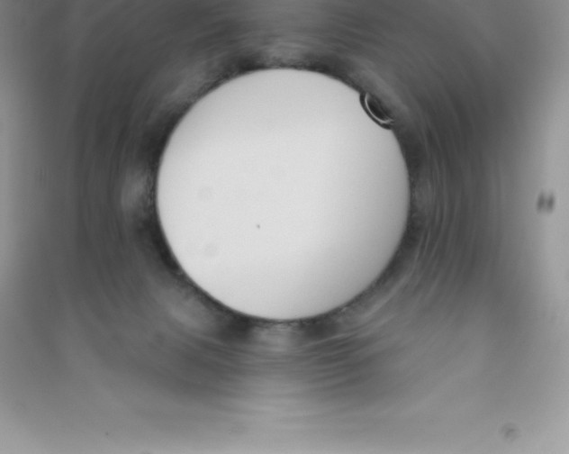 X0000090730079200708171955