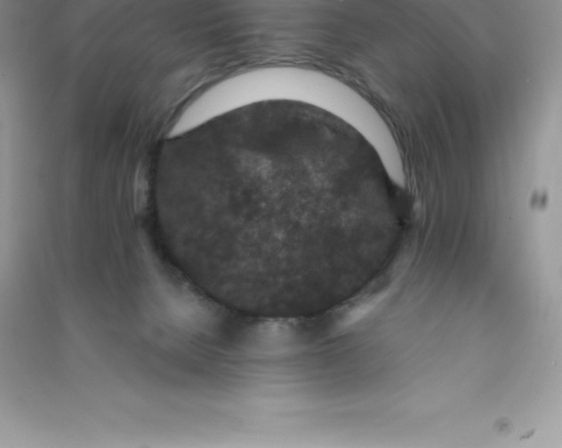 X0000090730080200708171955