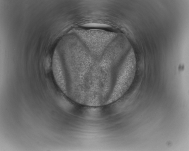 X0000090730081200708171955