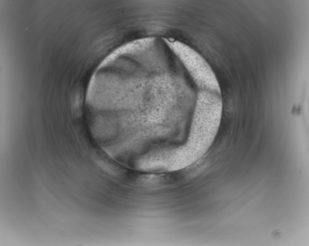 X0000090730082200708171955