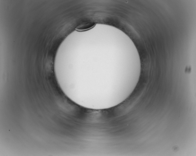 X0000090730083200708171955