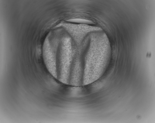 X0000090730085200708171955