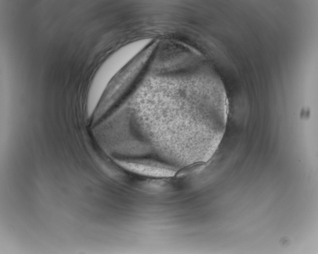 X0000090730086200708171955