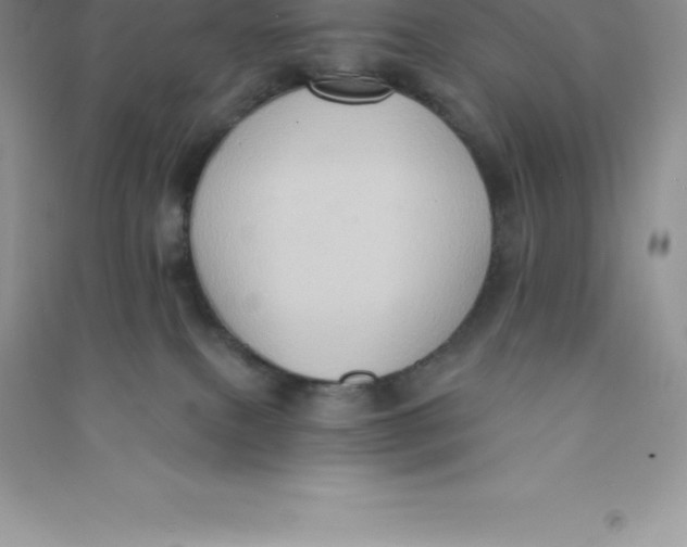 X0000090730087200708171955