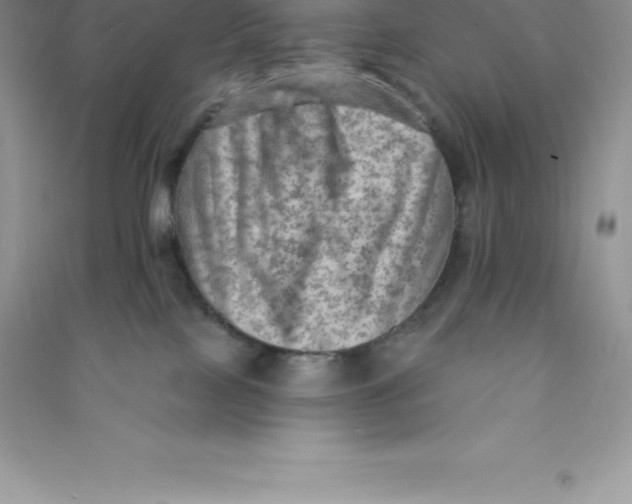 X0000090730089200708171956