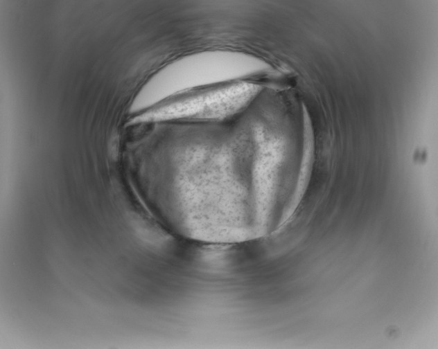 X0000090730090200708171956