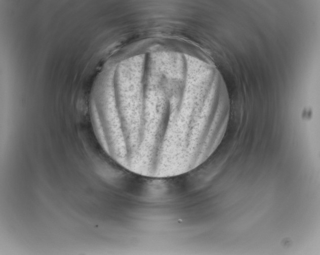 X0000090730091200708171956