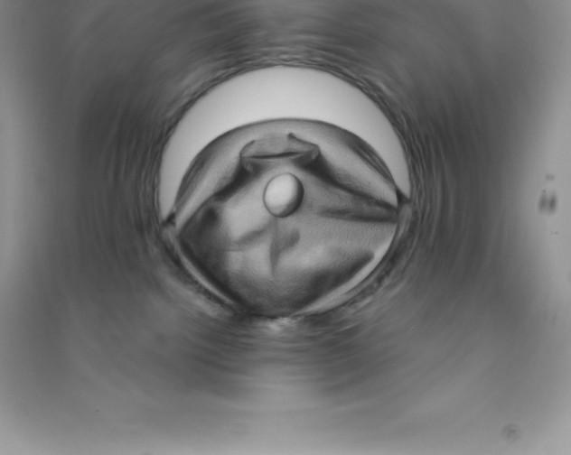 X0000090730092200708171956