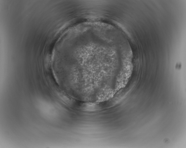 X0000090730093200708171956