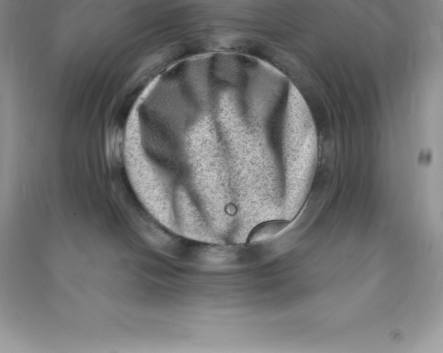 X0000090730094200708171956