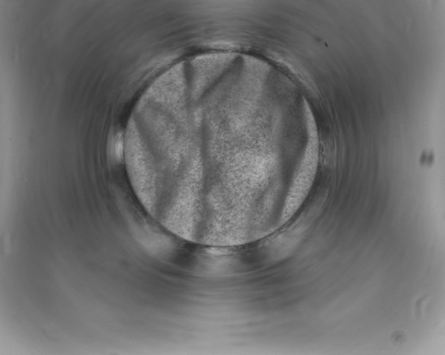 X0000090730095200708171956