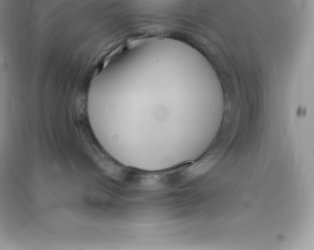 X0000090730096200708171956