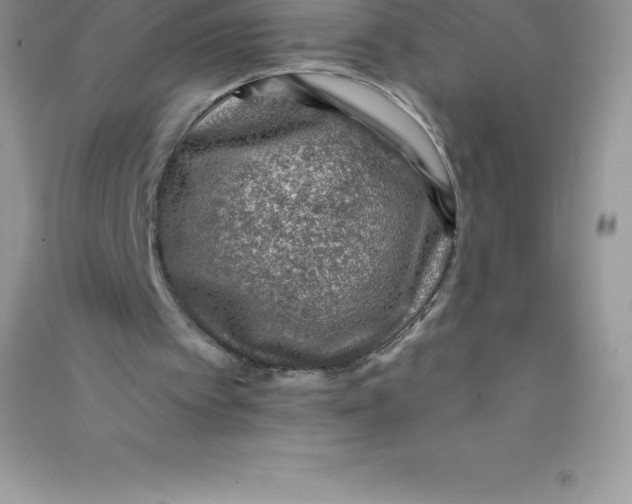 X0000090730097200708171955