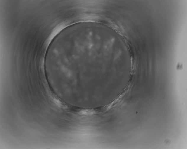 X0000090730099200708171955