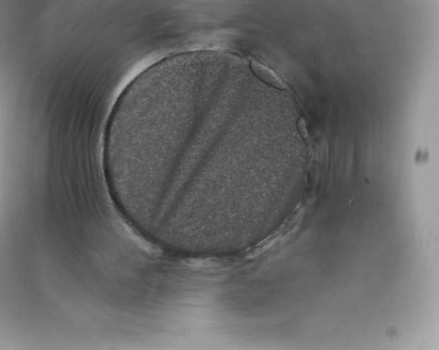 X0000090730100200708171955