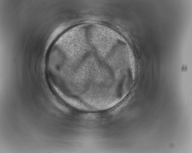 X0000090730102200708171955