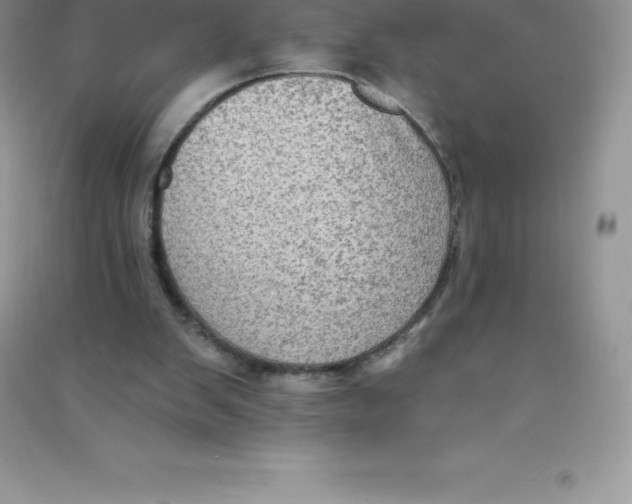 X0000090730103200708171955