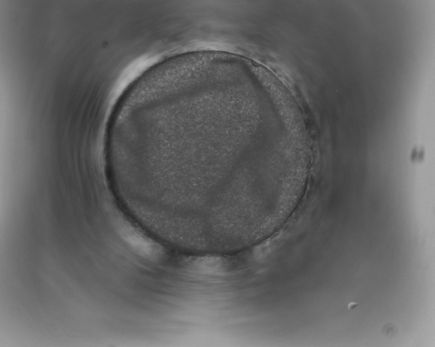 X0000090730104200708171955