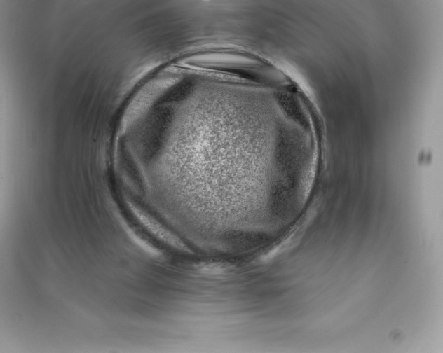 X0000090730105200708171955