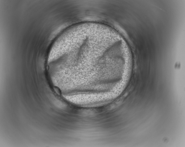 X0000090730106200708171955