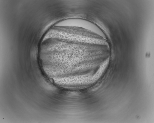 X0000090730107200708171955