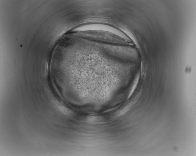 X0000090730109200708171955