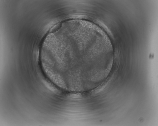 X0000090730110200708171955