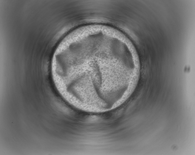 X0000090730111200708171955