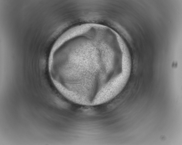 X0000090730113200708171955