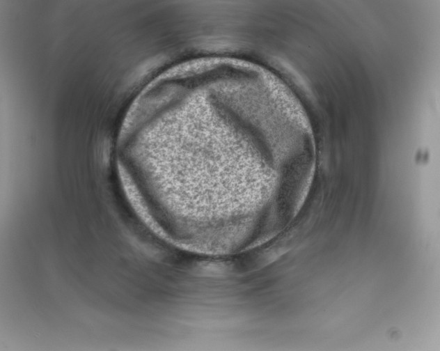 X0000090730115200708171955