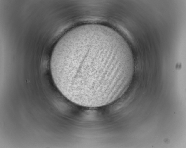 X0000090730119200708171955