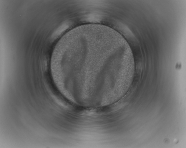 X0000090730120200708171955