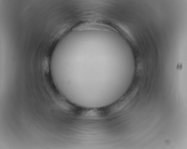 X0000090730121200708171955