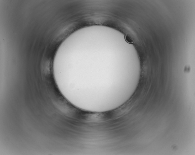 X0000090730122200708171955