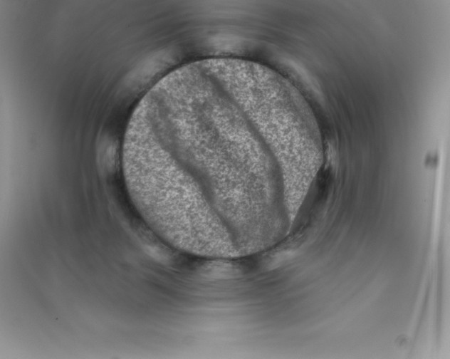 X0000090730123200708171955