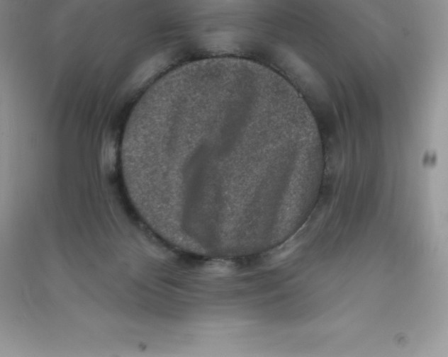 X0000090730124200708171955