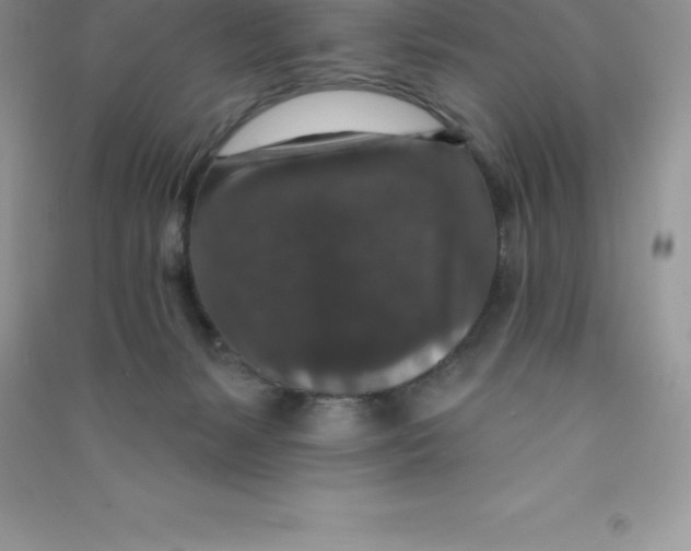 X0000090730127200708171955