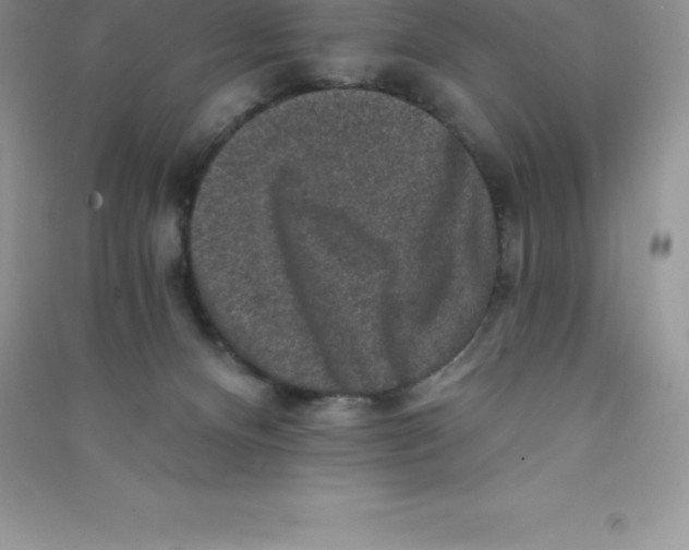 X0000090730128200708171955