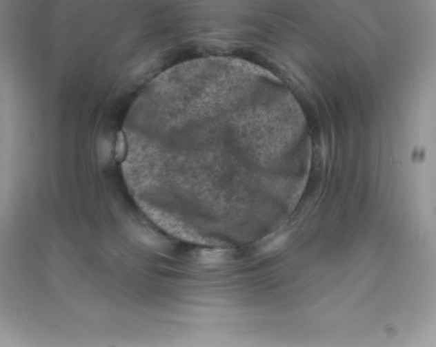 X0000090730134200708171955