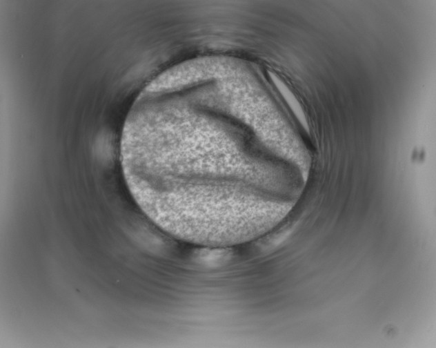 X0000090730135200708171955