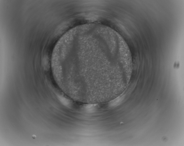 X0000090730136200708171955