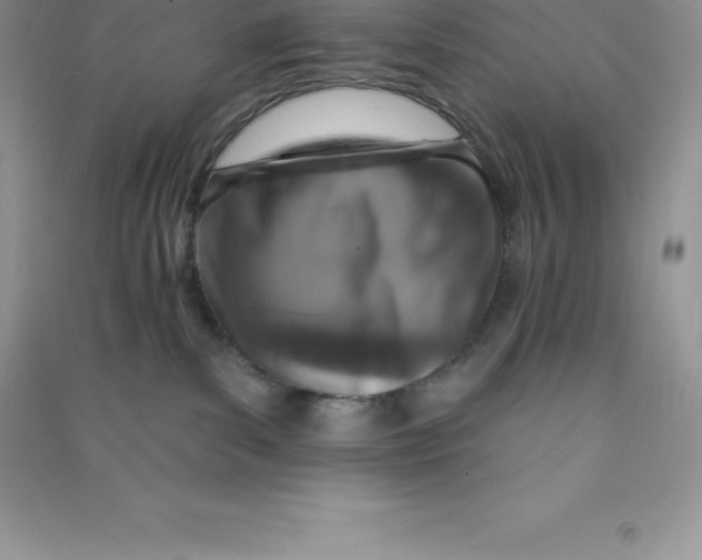 X0000090730139200708171954