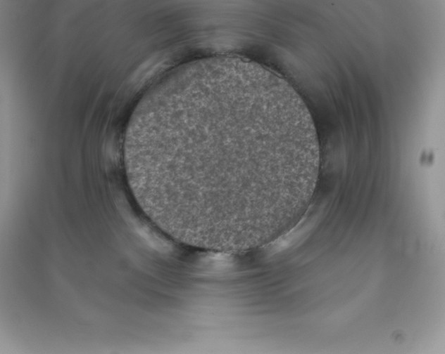 X0000090730140200708171954