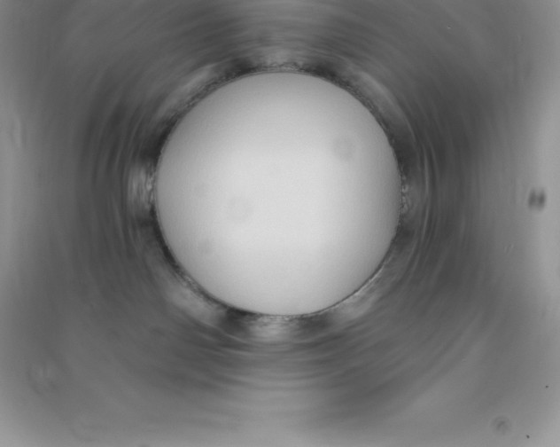 X0000090730142200708171954