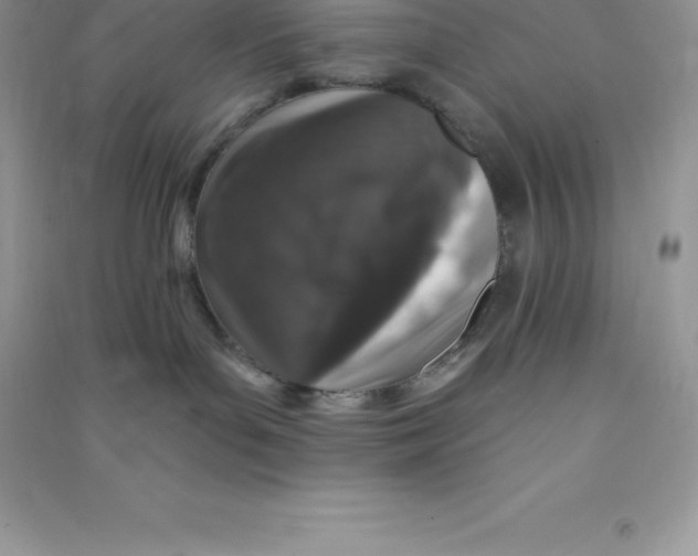 X0000090730143200708171954