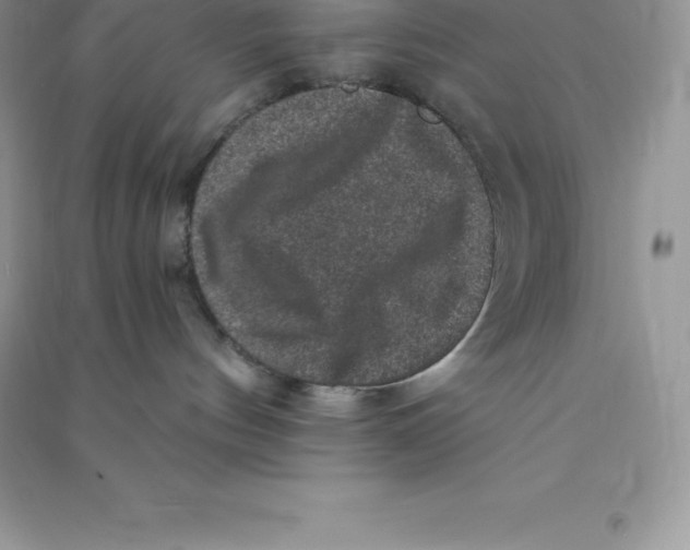 X0000090730144200708171954