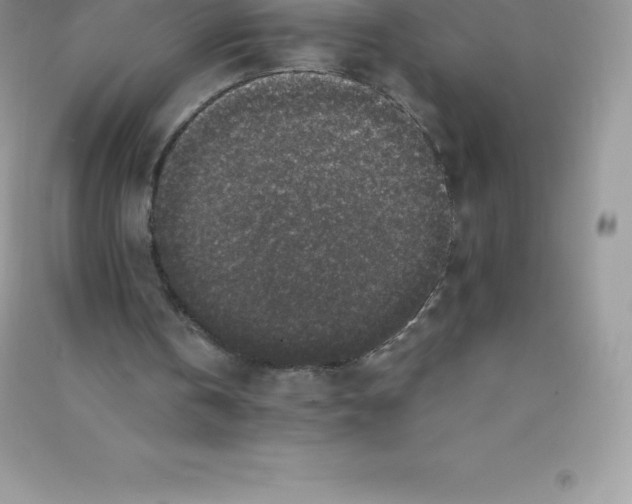 X0000090730146200708171954